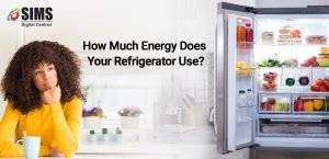 How Much Energy Does Your Refrigerator Use