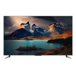 TCL 55" QLED Google TV (55C645)